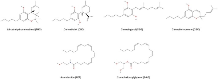 PMC12334796 – prp270160-fig-0002