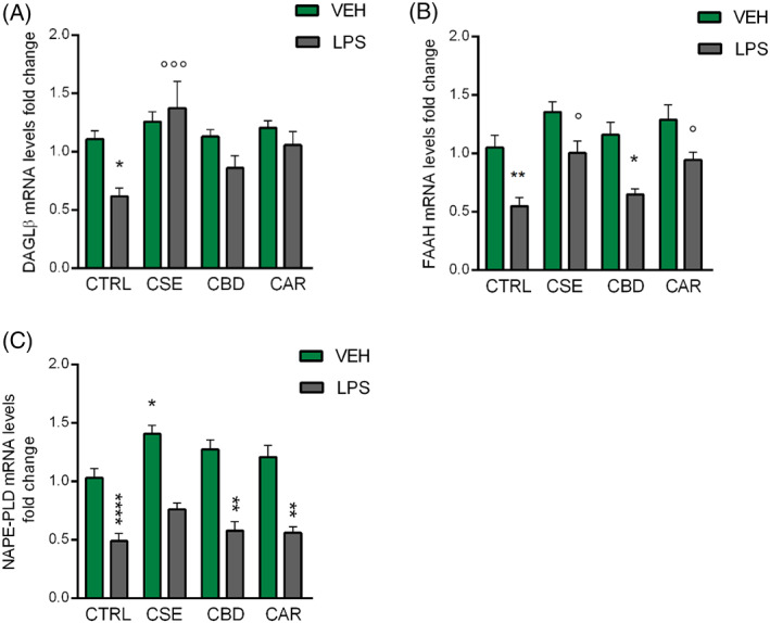 PMC9325551 – ptr7458-fig-0005