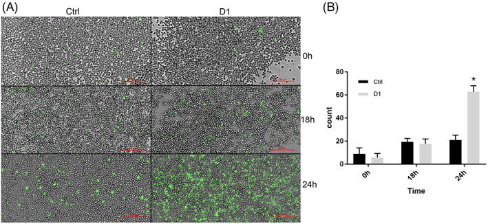 PMC9304126 – ptr7357-fig-0007