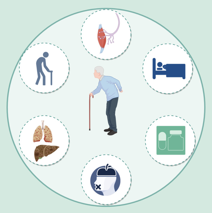 PMC11832362 – ptr8420-fig-0001