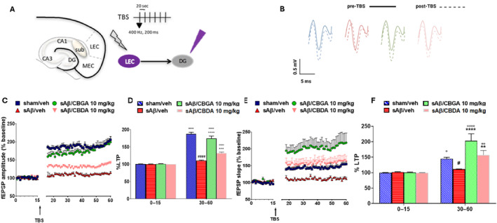 PMC11745148 – ptr8369-fig-0007
