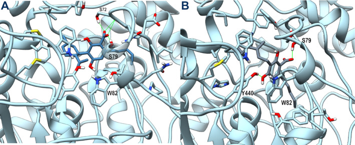PMC11745148 – ptr8369-fig-0002