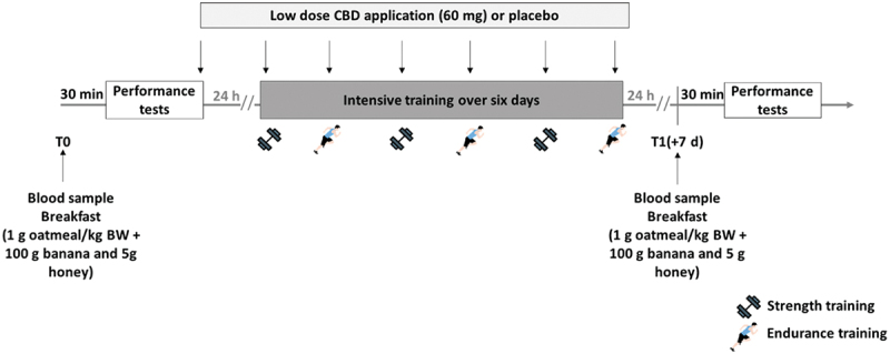 PMC10997358 – f0001