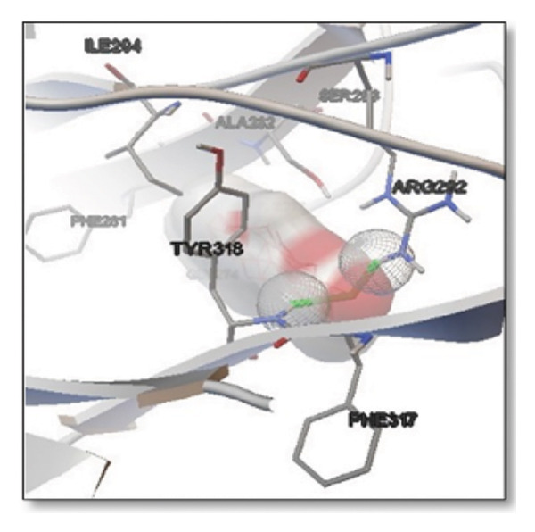 PMC12782343 – figpt-0001