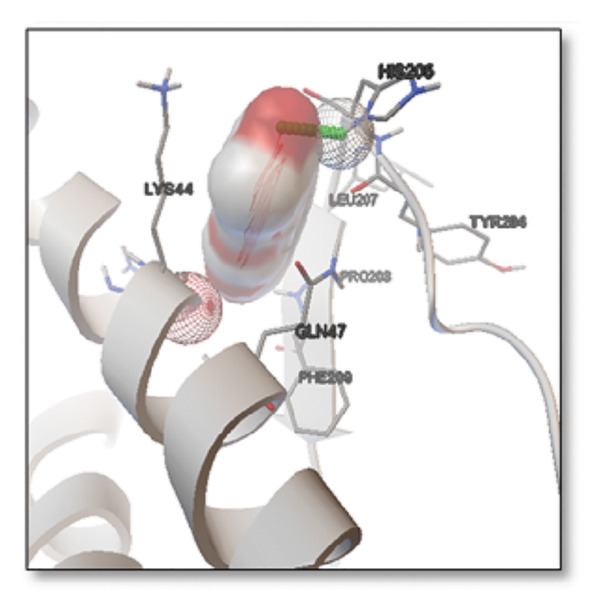 PMC12782343 – figpt-0004