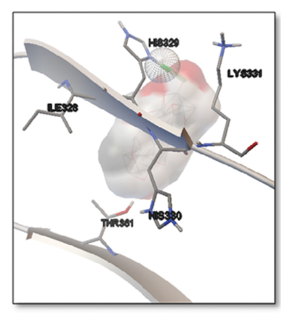 PMC12782343 – figpt-0010