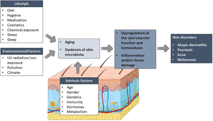 PMC10988741 – ski2340-fig-0001