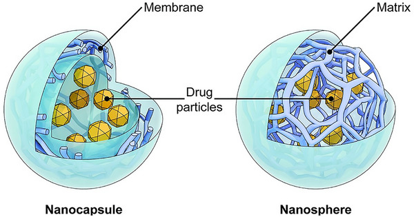 PMC12288819 – smll202502315-fig-0004