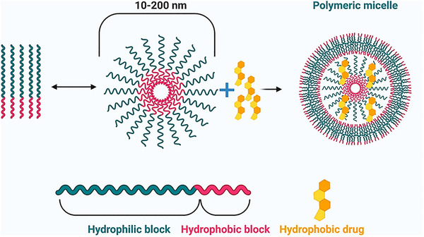 PMC12288819 – smll202502315-fig-0006