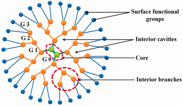 PMC12288819 – smll202502315-fig-0005