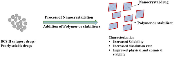 PMC12288819 – smll202502315-fig-0010