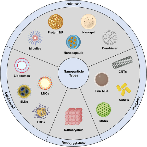 PMC12288819 – smll202502315-fig-0001