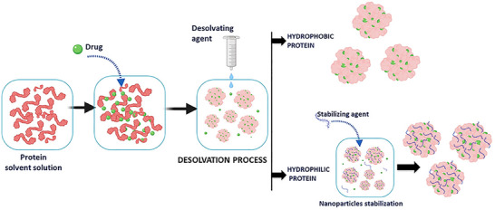 PMC12288819 – smll202502315-fig-0008