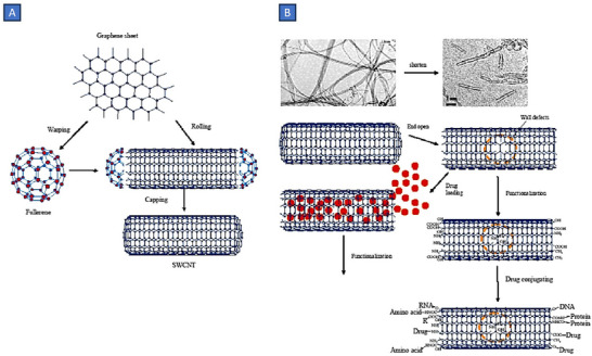 PMC12288819 – smll202502315-fig-0011