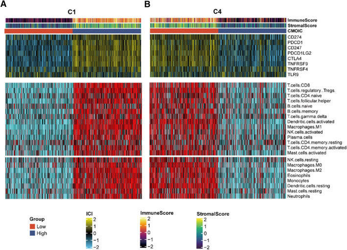 PMC12087399 – smmd70009-fig-0004