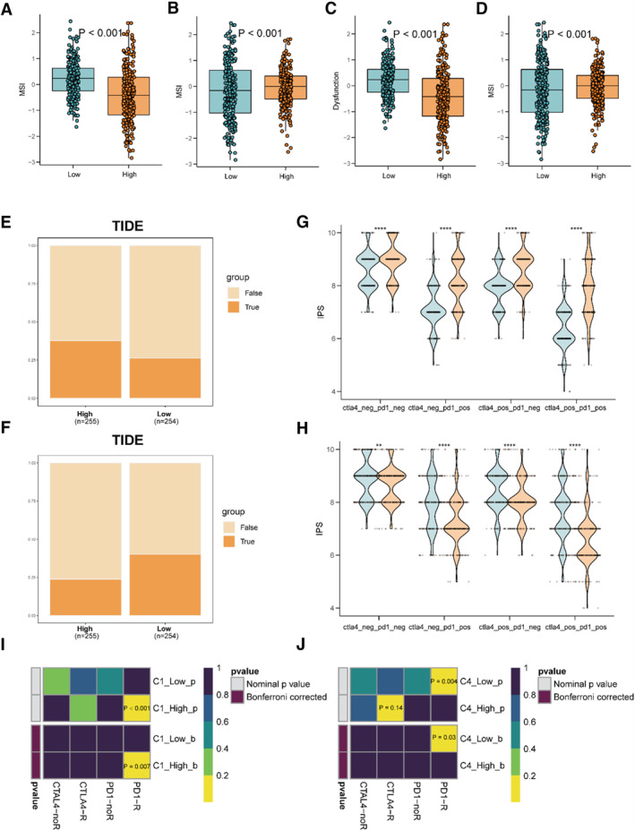 PMC12087399 – smmd70009-fig-0005