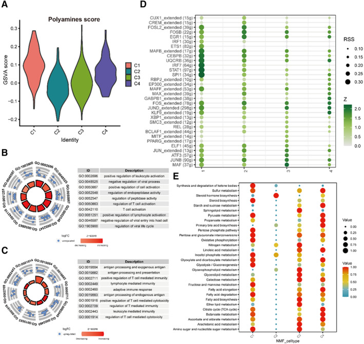 PMC12087399 – smmd70009-fig-0003
