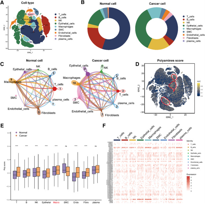 PMC12087399 – smmd70009-fig-0001