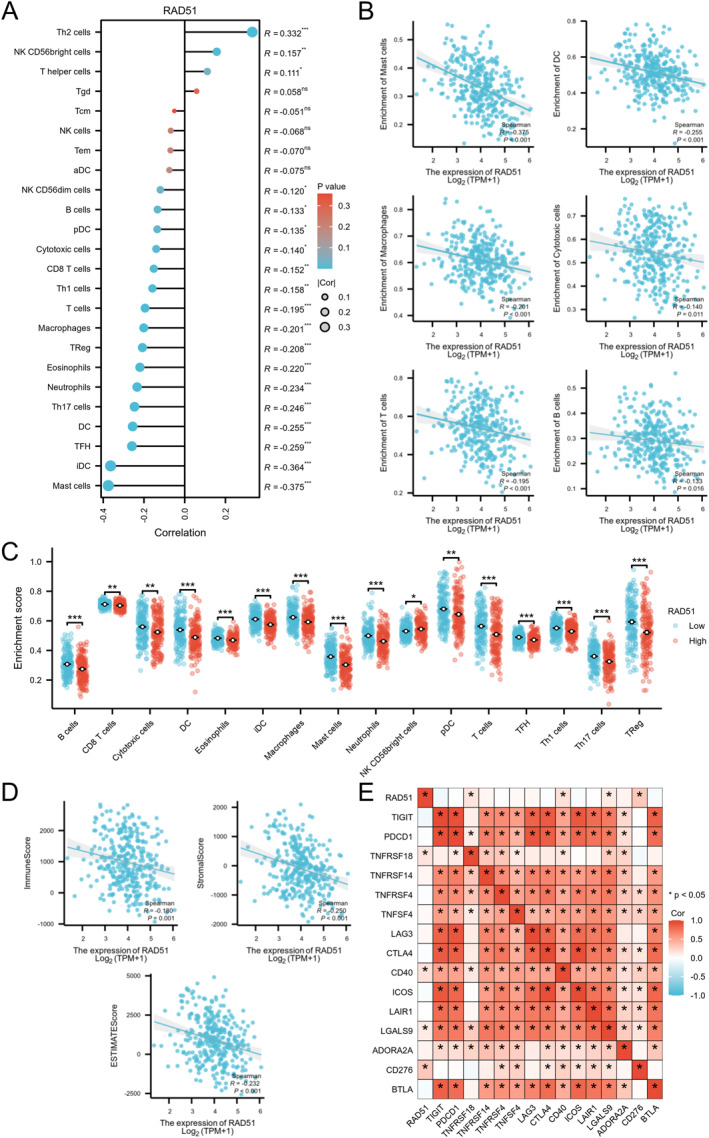PMC12680491 – syb270048-fig-0008