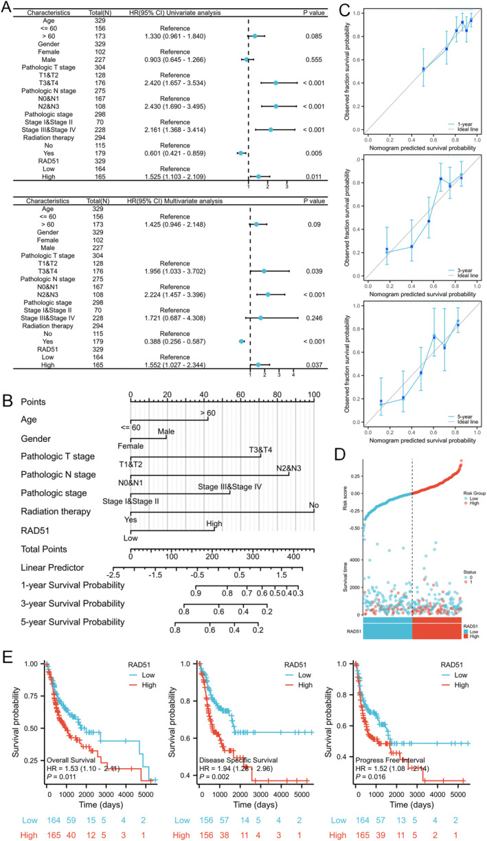 PMC12680491 – syb270048-fig-0006