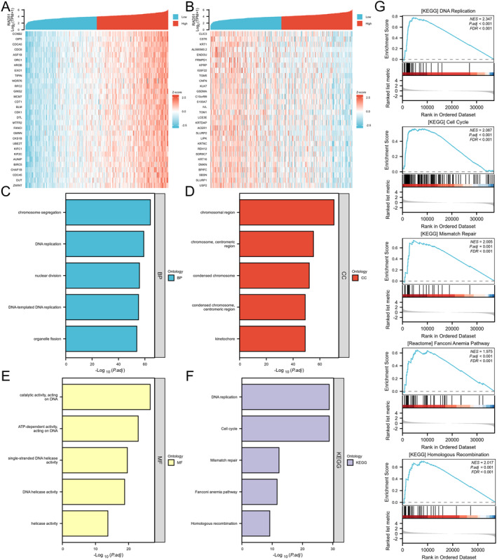 PMC12680491 – syb270048-fig-0007
