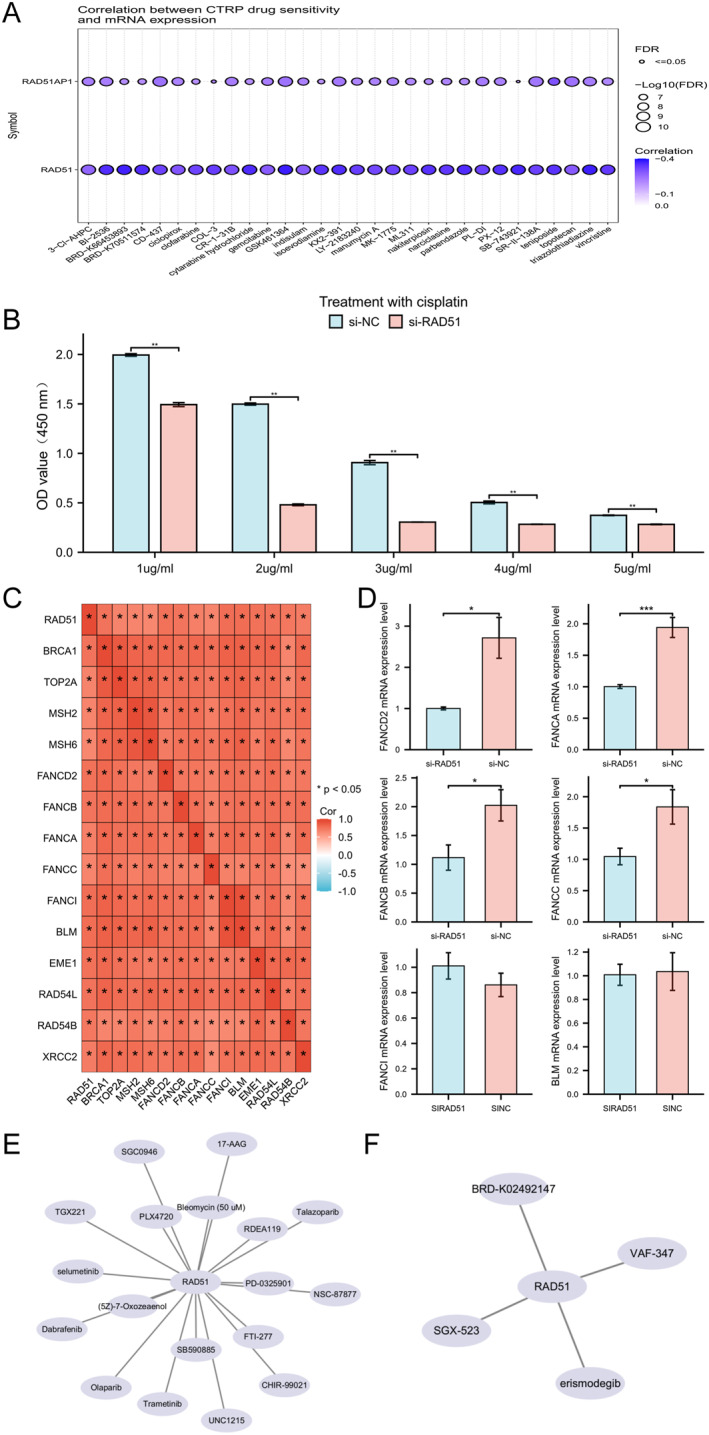 PMC12680491 – syb270048-fig-0011