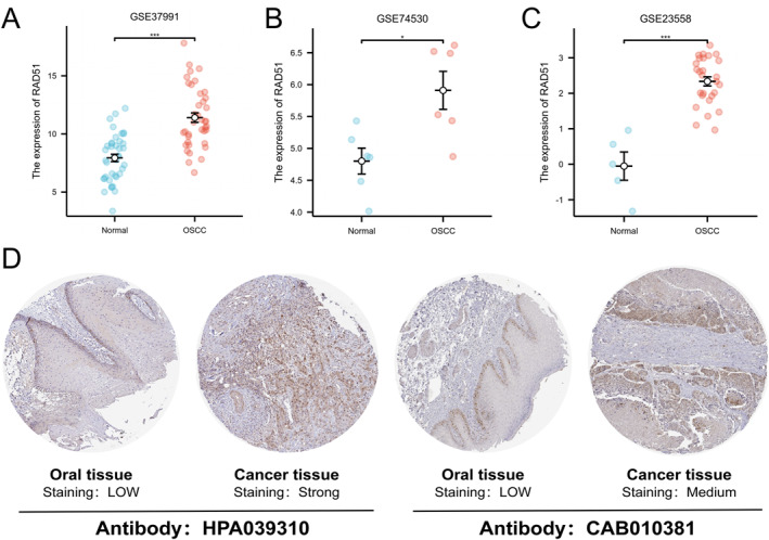 PMC12680491 – syb270048-fig-0004