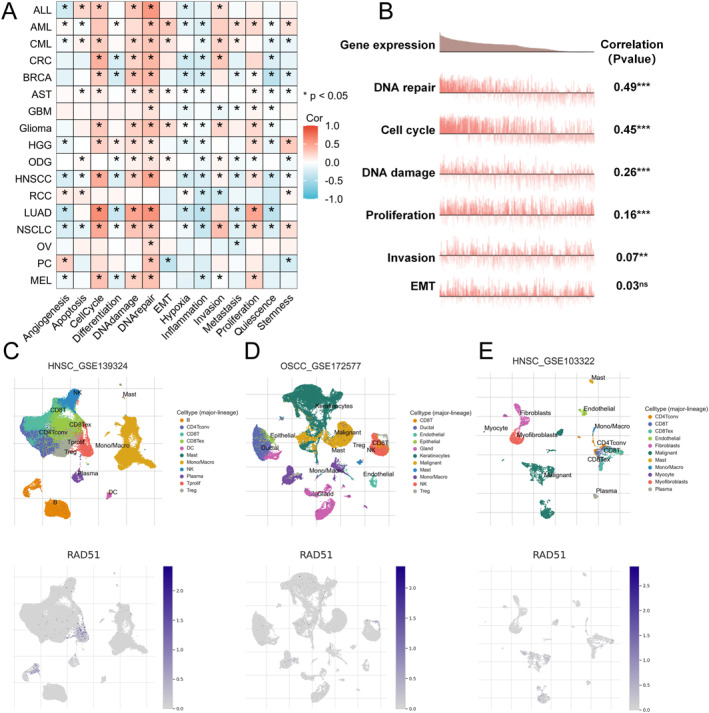 PMC12680491 – syb270048-fig-0005