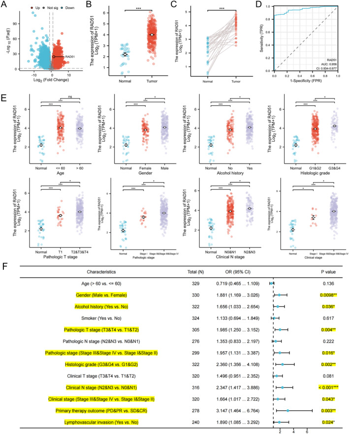 PMC12680491 – syb270048-fig-0003