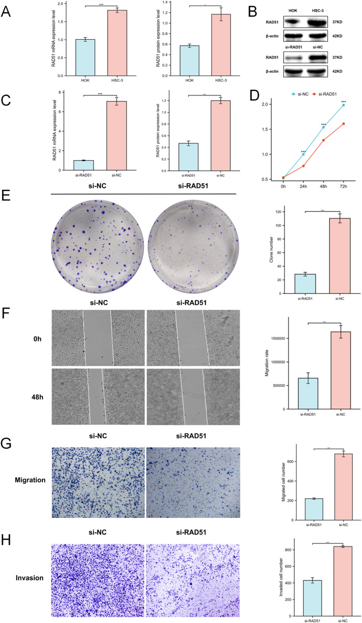 PMC12680491 – syb270048-fig-0009