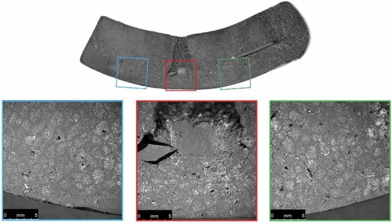 PMC8735878 – f0013