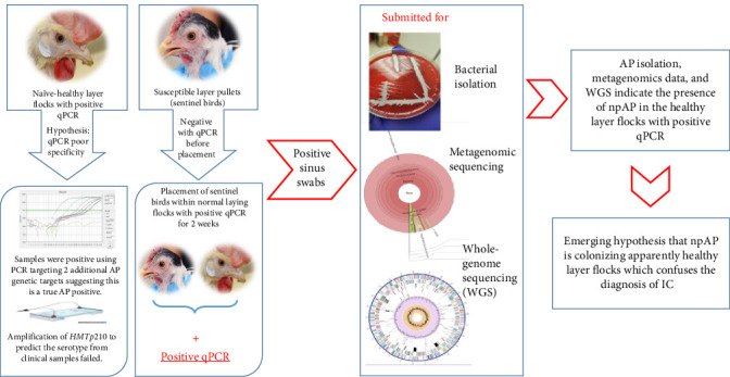 PMC12103973 – fig1