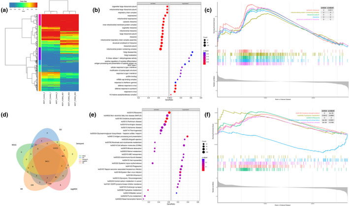 PMC11729401 – tca15482-fig-0006