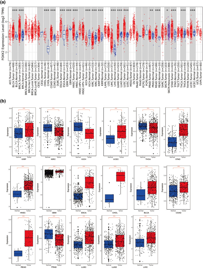 PMC11729401 – tca15482-fig-0001