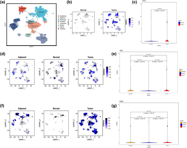 PMC11729401 – tca15482-fig-0002