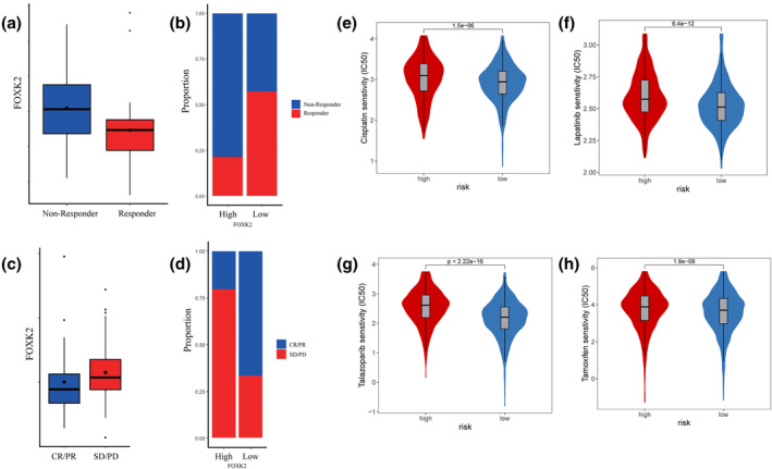 PMC11729401 – tca15482-fig-0004