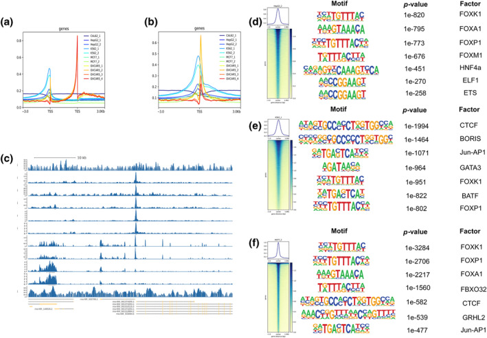 PMC11729401 – tca15482-fig-0005