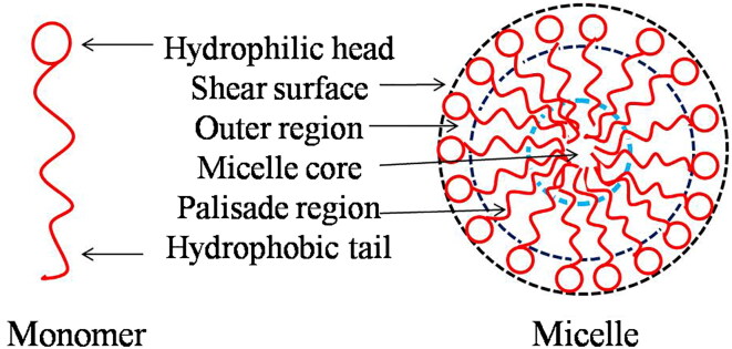 PMC8112826 – F0001