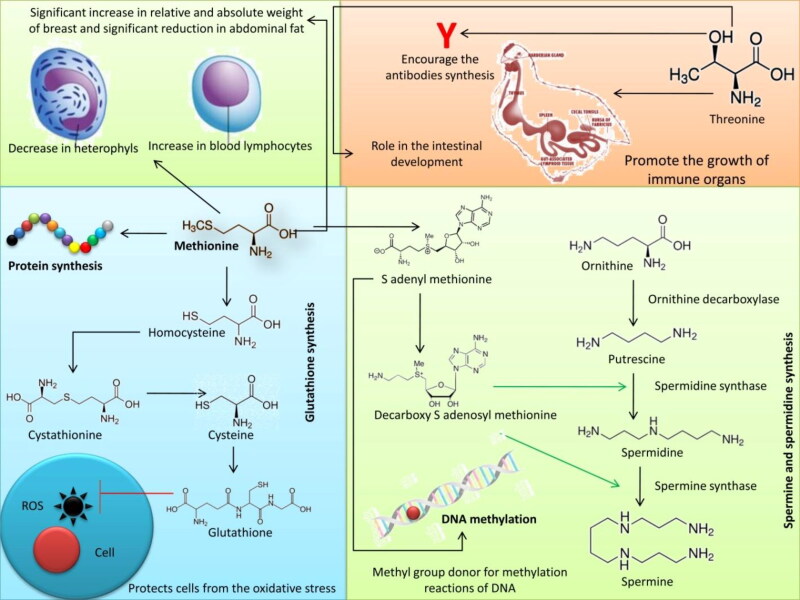 PMC7755404 – F0001