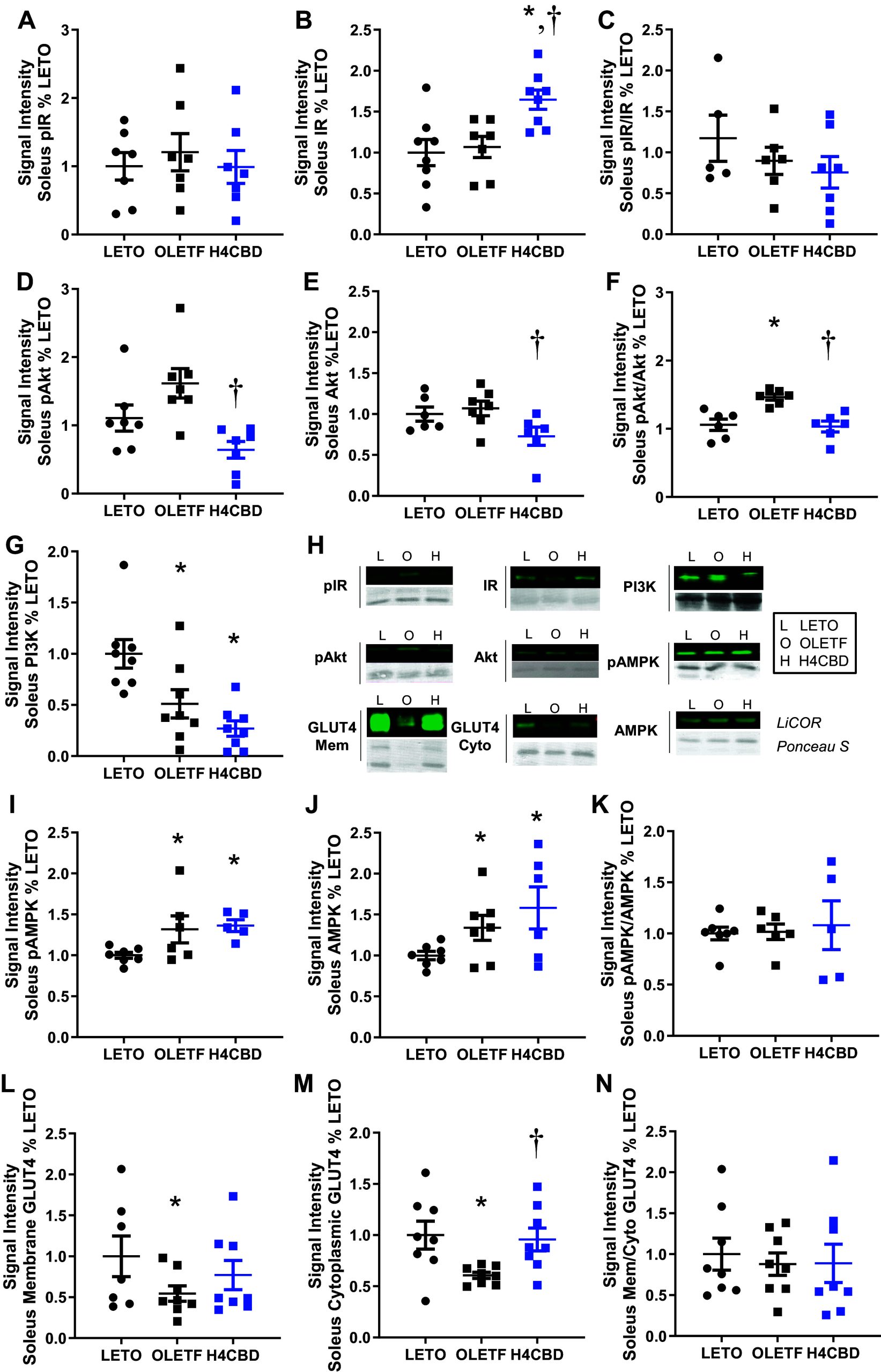 PMC11283894 – F0003