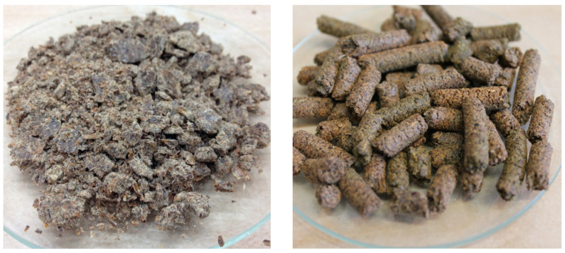 PMC7459908 – animals-10-01384-f001