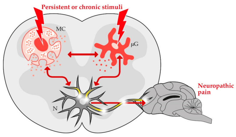 PMC8065429 – animals-11-00952-f002