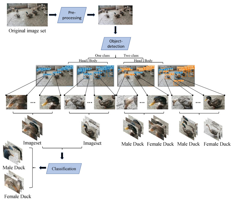 PMC9104448 – animals-12-01177-f005