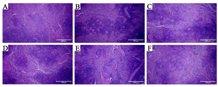 PMC9597737 – animals-12-02740-f007