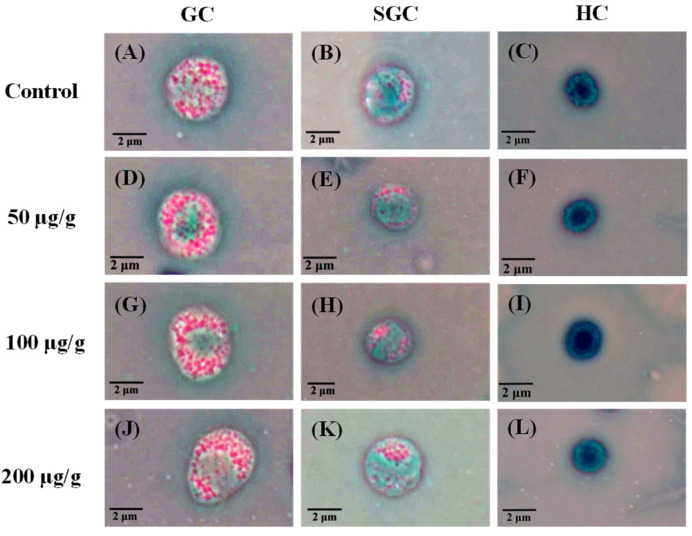 PMC10093085 – animals-13-01131-f001