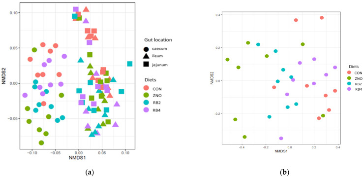 PMC10339942 – animals-13-02196-f002