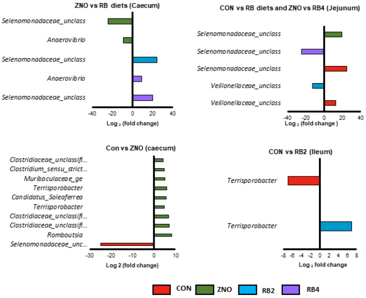 PMC10339942 – animals-13-02196-f004