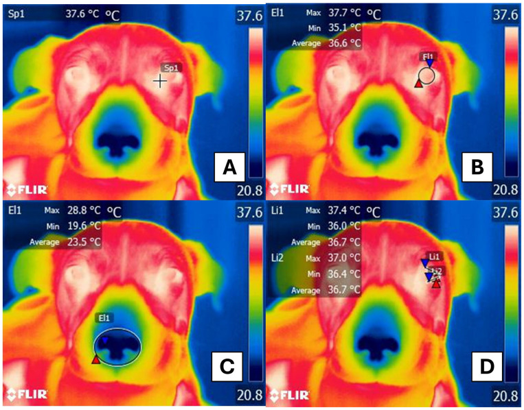 PMC11758305 – animals-15-00227-f001