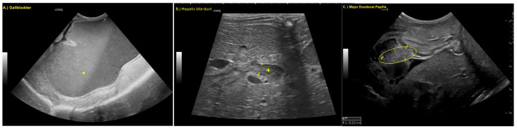 PMC12427218 – animals-15-02634-f002