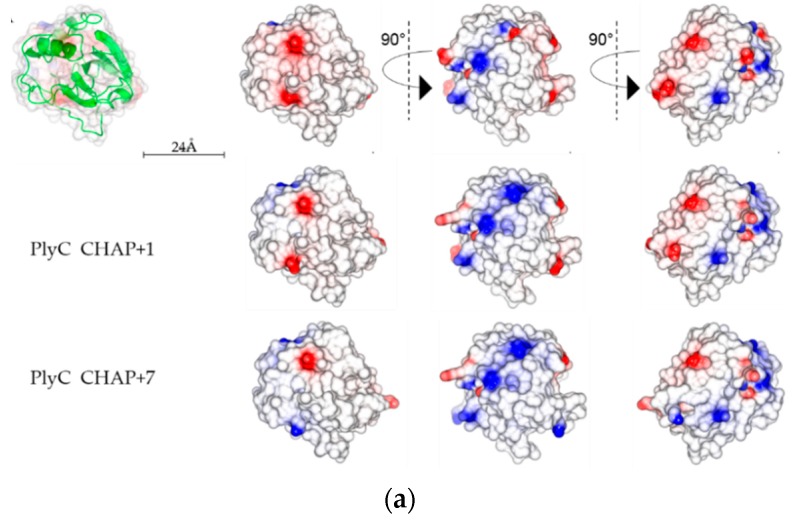 PMC6628322 – antibiotics-08-00070-f005